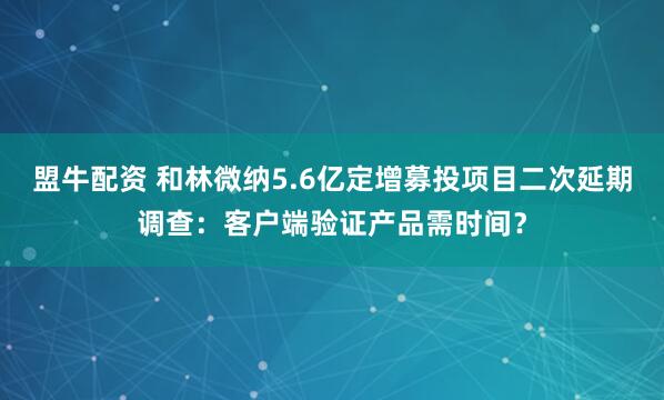 盟牛配资 和林微纳5.6亿定增募投项目二次延期调查：客户端验证产品需时间？