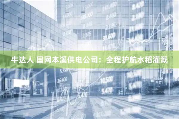 牛达人 国网本溪供电公司：全程护航水稻灌溉