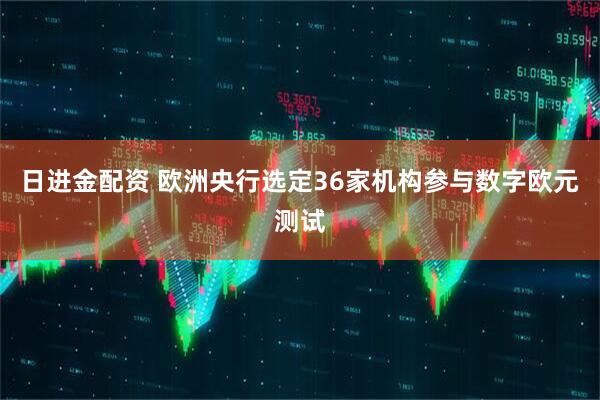 日进金配资 欧洲央行选定36家机构参与数字欧元测试